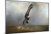 Up Against the Stormy Sea Bald Eagle-Jai Johnson-Mounted Premium Giclee Print