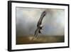 Up Against the Stormy Sea Bald Eagle-Jai Johnson-Framed Giclee Print