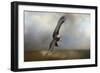 Up Against the Stormy Sea Bald Eagle-Jai Johnson-Framed Giclee Print