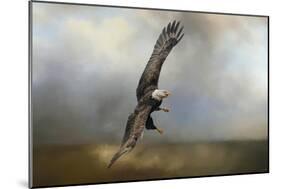 Up Against the Stormy Sea Bald Eagle-Jai Johnson-Mounted Giclee Print