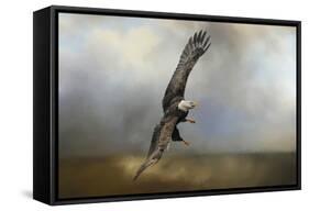 Up Against the Stormy Sea Bald Eagle-Jai Johnson-Framed Stretched Canvas