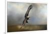 Up Against the Stormy Sea Bald Eagle-Jai Johnson-Framed Giclee Print