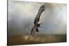 Up Against the Stormy Sea Bald Eagle-Jai Johnson-Stretched Canvas