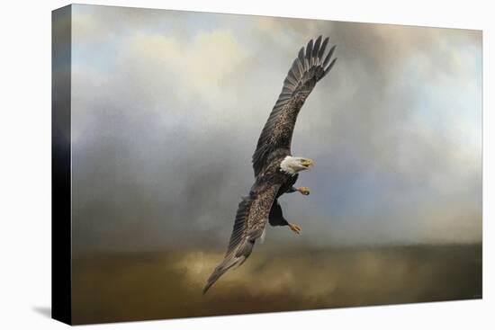 Up Against the Stormy Sea Bald Eagle-Jai Johnson-Stretched Canvas