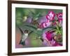 Up and Away-William Vanderdasson-Framed Giclee Print