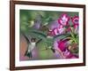 Up and Away-William Vanderdasson-Framed Giclee Print