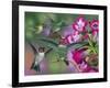 Up and Away-William Vanderdasson-Framed Giclee Print