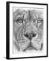 Up Close Lion-Barbara Keith-Framed Giclee Print