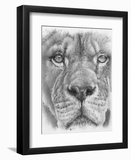 Up Close Lion-Barbara Keith-Framed Premium Giclee Print