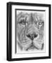 Up Close Lion-Barbara Keith-Framed Premium Giclee Print