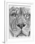 Up Close Lion-Barbara Keith-Framed Giclee Print