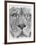 Up Close Lion-Barbara Keith-Framed Giclee Print