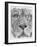 Up Close Lion-Barbara Keith-Framed Giclee Print