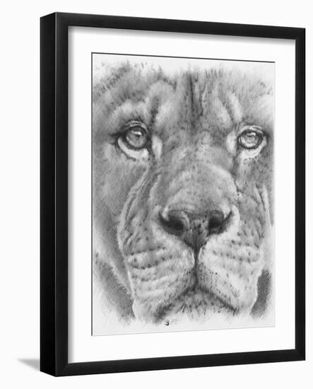 Up Close Lion-Barbara Keith-Framed Giclee Print