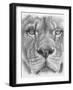 Up Close Lion-Barbara Keith-Framed Giclee Print