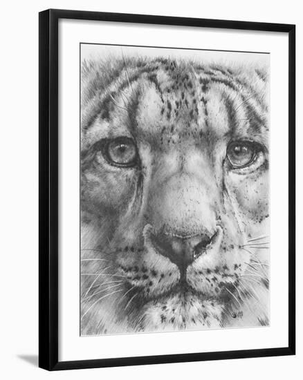 Up Close Snow Leopard-Barbara Keith-Framed Giclee Print