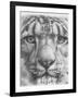 Up Close Snow Leopard-Barbara Keith-Framed Giclee Print