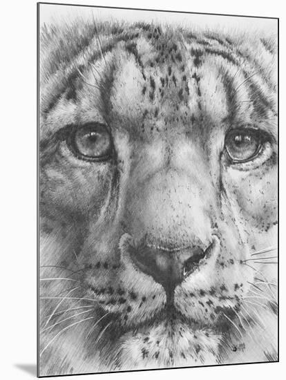 Up Close Snow Leopard-Barbara Keith-Mounted Giclee Print