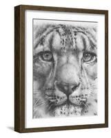 Up Close Snow Leopard-Barbara Keith-Framed Giclee Print