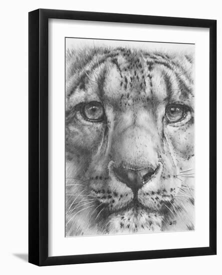 Up Close Snow Leopard-Barbara Keith-Framed Giclee Print