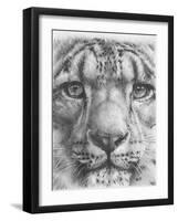 Up Close Snow Leopard-Barbara Keith-Framed Giclee Print