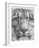 Up Close Snow Leopard-Barbara Keith-Framed Giclee Print