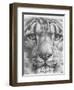 Up Close Snow Leopard-Barbara Keith-Framed Giclee Print