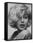 Up Coming Actress Sybil Saulnier Bearing Strong Resemblance to Marilyn Monroe-Paul Schutzer-Framed Stretched Canvas