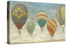 Up in the Air Panorama-Megan Meagher-Stretched Canvas