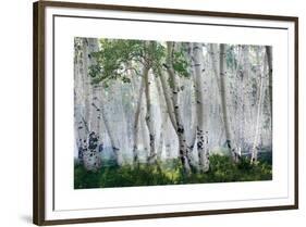 Up In The Clouds-Mike Jones-Framed Giclee Print