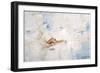 Up in the Clouds-Sydney Edmunds-Framed Giclee Print