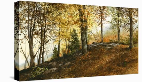 Up in the Woods-Ray Hendershot-Stretched Canvas