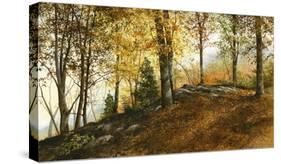 Up in the Woods-Ray Hendershot-Stretched Canvas