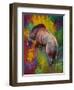 Up The Bank Grizzly-Marion Rose-Framed Giclee Print