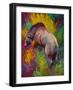 Up The Bank Grizzly-Marion Rose-Framed Giclee Print