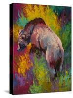 Up The Bank Grizzly-Marion Rose-Stretched Canvas