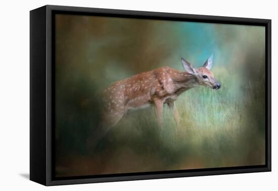 Up the Hill and into the Light-Jai Johnson-Framed Stretched Canvas