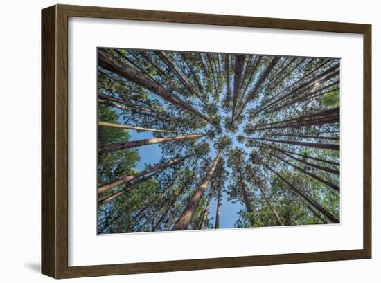 Up-Daniel J^ Bellyk-Framed Giclee Print