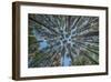 Up-Daniel J^ Bellyk-Framed Giclee Print