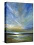 Updraft-Sheila Finch-Stretched Canvas