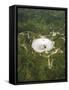 Upgraded Arecibo Radio Telescope with Subreflector-David Parker-Framed Stretched Canvas