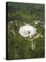 Upgraded Arecibo Radio Telescope with Subreflector-David Parker-Stretched Canvas