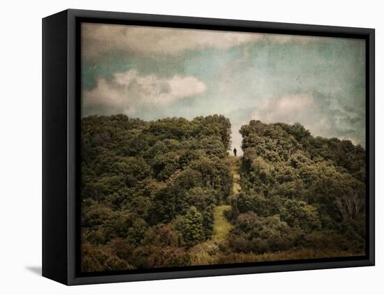 Uphill Climb-Jai Johnson-Framed Stretched Canvas