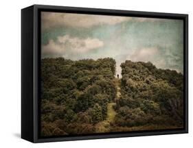 Uphill Climb-Jai Johnson-Framed Stretched Canvas