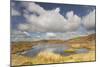 Upland Peatbog Pool. Pumlumon Fawr, Cambrian Mountains, Wales, January 2012-Peter Cairns-Mounted Photographic Print