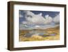 Upland Peatbog Pool. Pumlumon Fawr, Cambrian Mountains, Wales, January 2012-Peter Cairns-Framed Photographic Print