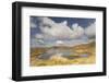 Upland Peatbog Pool. Pumlumon Fawr, Cambrian Mountains, Wales, January 2012-Peter Cairns-Framed Photographic Print