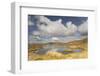 Upland Peatbog Pool. Pumlumon Fawr, Cambrian Mountains, Wales, January 2012-Peter Cairns-Framed Photographic Print