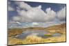 Upland Peatbog Pool. Pumlumon Fawr, Cambrian Mountains, Wales, January 2012-Peter Cairns-Mounted Photographic Print