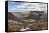 Upland Stream Flowing into Loch Avon, Glen Avon, Cairngorms Np, Highlands, Scotland, UK-Mark Hamblin-Framed Stretched Canvas